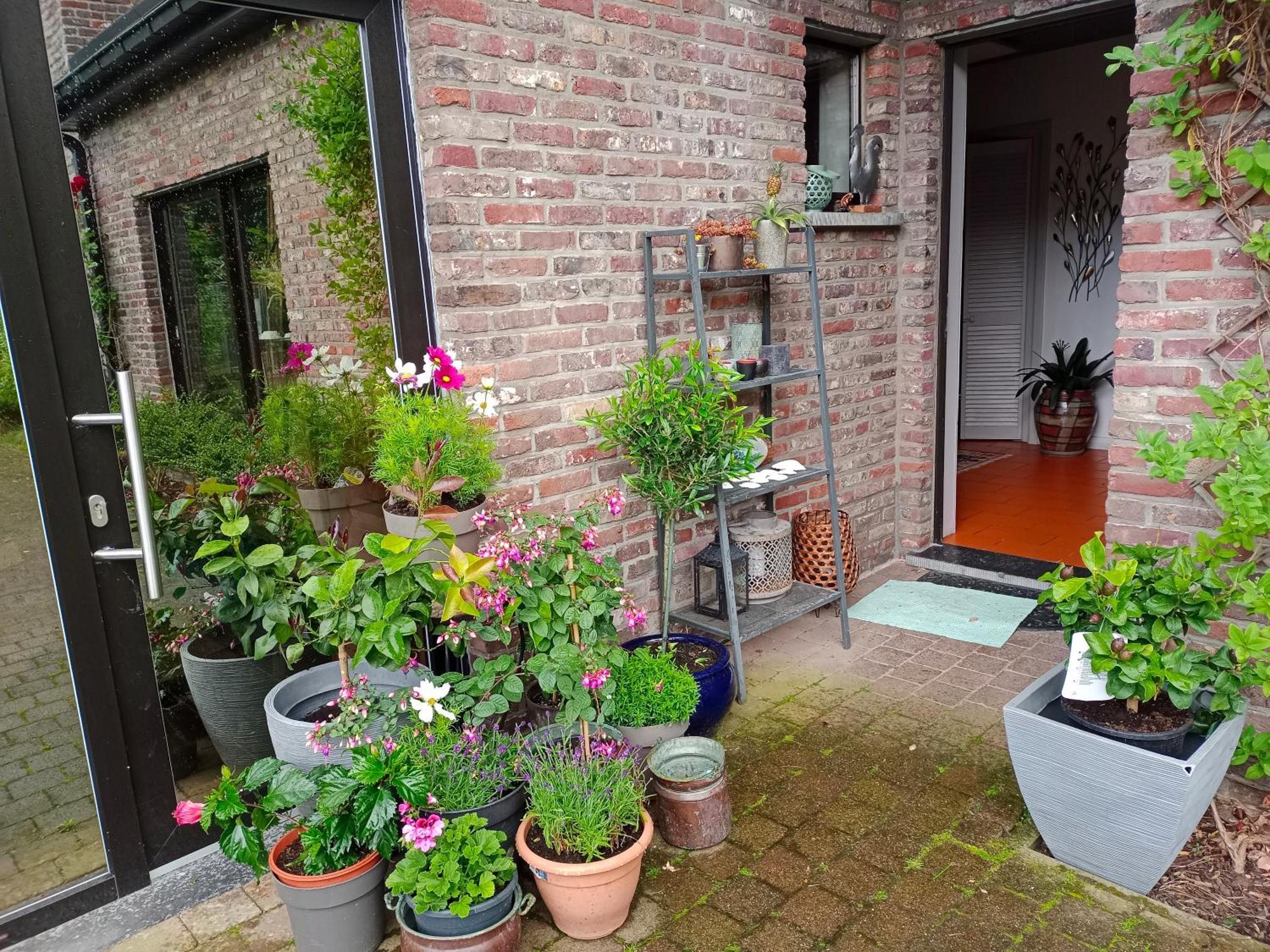Efes Home Gent Exteriör bild